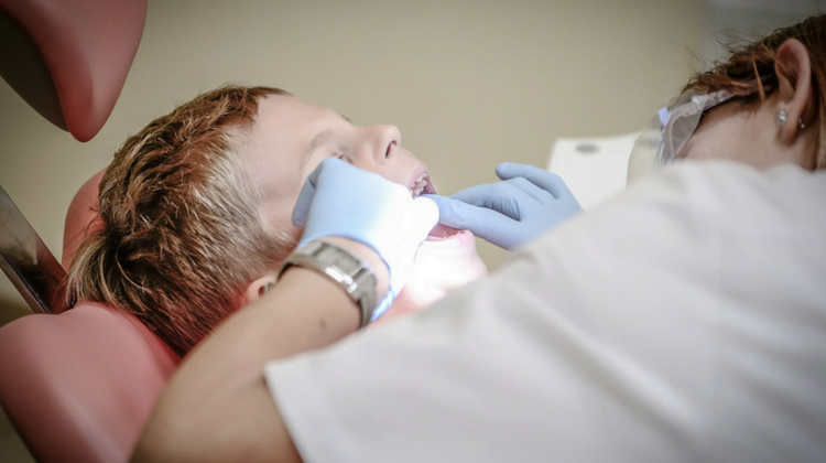 idental - diario juridico