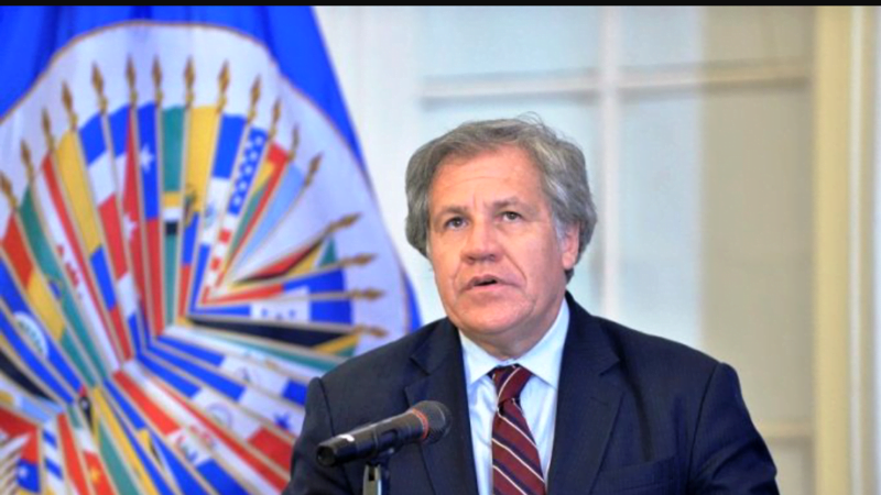 Colombia – OEA destaca liderazgo de Colombia en diplomacia hemisférica oea