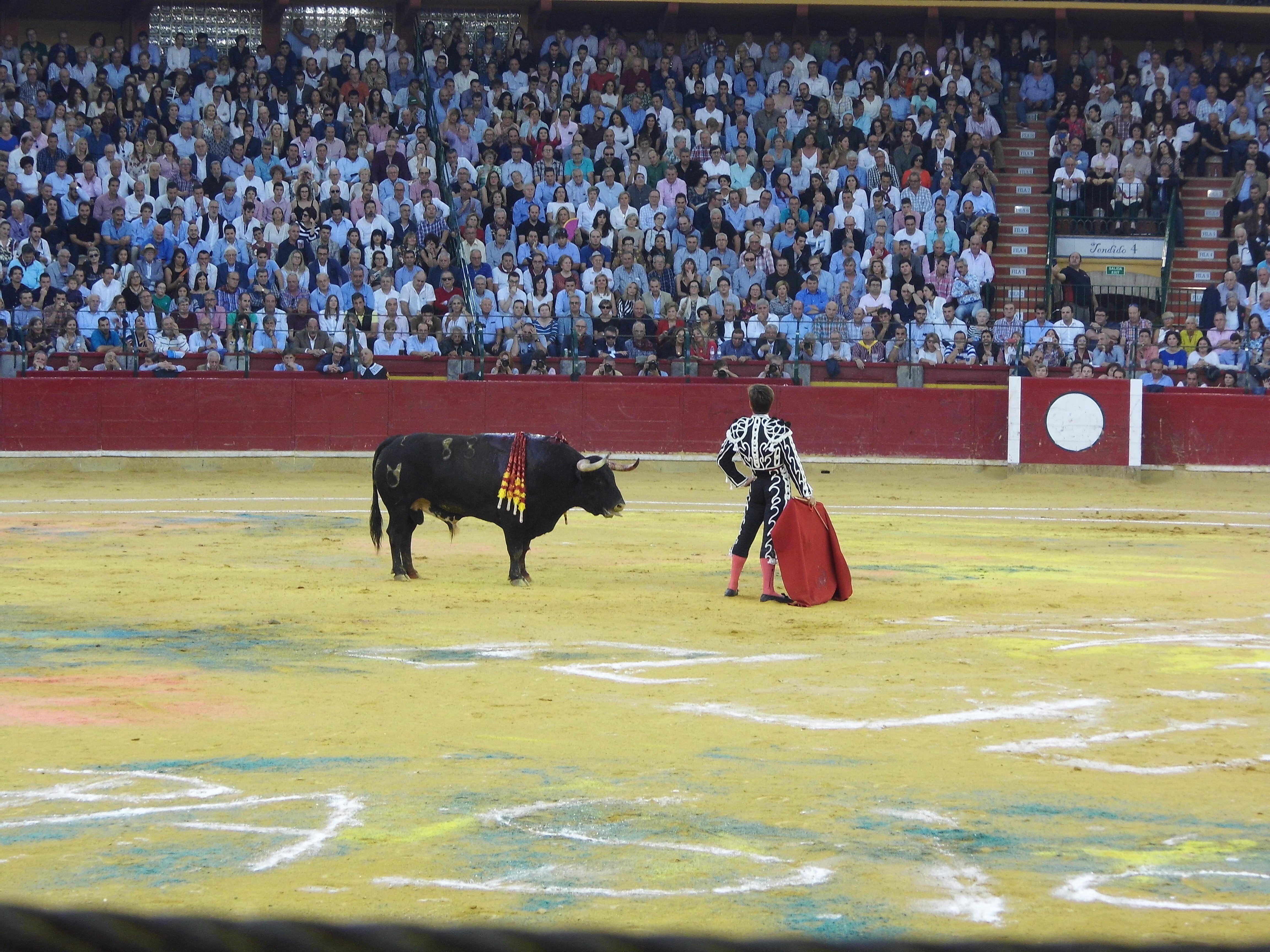 tauromaquia - diario juridico