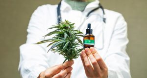 cannabis