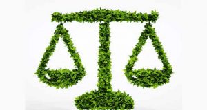 democracias constitucionales