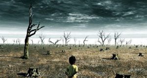 medio ambiente