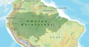 amazonía