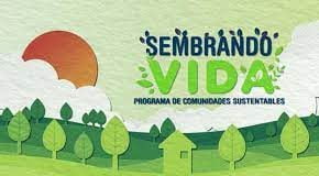 sembrando vida