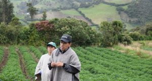 campo colombiano