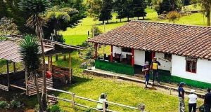 vivienda
