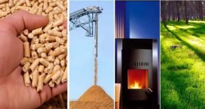 biocombustibles