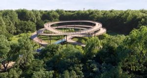 biodiverciudades