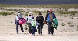 migración