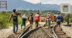 migración