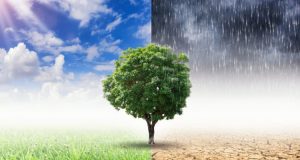 cambio climático
