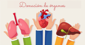 donación de organos