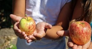 impago alimentos - diario juridico