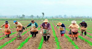 reforma rural