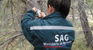 sag chile