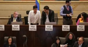ley paz total