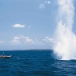 pesca-dinamita-explosivos-diariojuridico