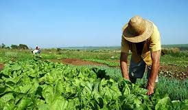 reforma agraria