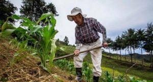 jurisdiccion agraria