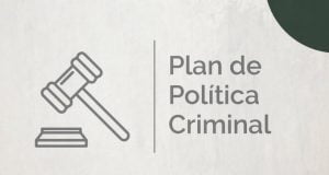 politica criminal chile