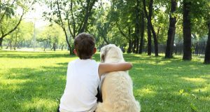 Custodia-compartida-de-menor-y-mascota-en-un-mismo-fallo-diario-juridico