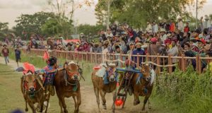 corrida de toros