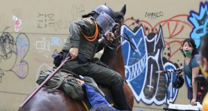 colombia animales en protestas