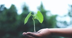 El -ts -desestima -el -recurso -de- varias -organizaciones -ecologistas -contra -el -Plan -Nacional -de -Energía -y -Clima - 2021-2030-diario-juridico