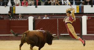 Colombia – Senado aprobó proyecto que prohíbe las corridas de toros Plenaria del Senado aprobó proyecto que prohíbe las corridas de toros