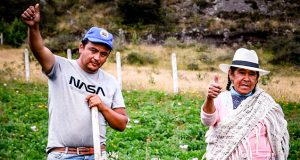 México – Financieras comunitarias para desarrollo indígena