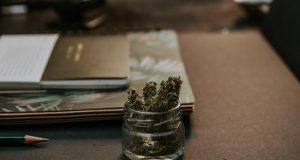 Colombia – Aprobado el proyecto de uso adulto del Cannabis Colombia – Aprobado el proyecto de uso adulto del Cannabis