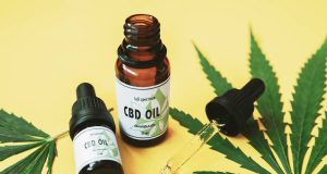 México – Regular uso medicinal, industrial y lúdico de cannabis 