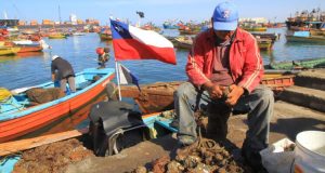 Chile – Comisión de Pesca despachó proyecto sobre remanente no consumido