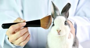 Chile – Realidad: prohibición de testeo en animales