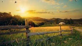 Colombia – Senado debate sobre los jueces especializados para el campo Colombia - Senado debate sobre los jueces especializados para el campo