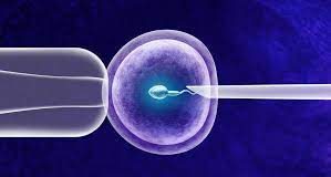 Chile – Diputados requieren estatuto regulatorio para técnicas de reproducción asistida Chile – Diputados requieren estatuto regulatorio para técnicas de reproducción asistida