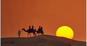 Colombia – Llenar de flores el desierto Colombia - “Nosotros podemos llenar de flores el desierto”