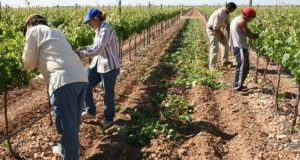 Colombia – Aplazan discusión del Proyecto de Ley de Jurisdicción Agraria y Rural Colombia - Aplazan discusión del Proyecto de Ley de Jurisdicción Agraria y Rural