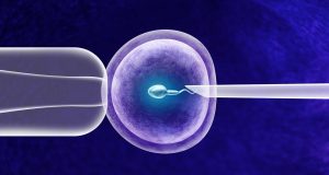 fertilidad asistida