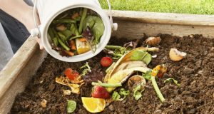 Chile - Proyecto que promueve valorización de residuos orgánicos La Comisión de Medio Ambiente