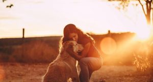 Colombia – Perro de apoyo emocional en instituciones educativas