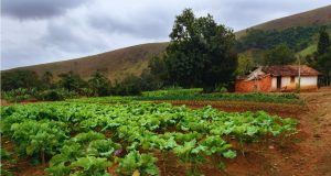 El asesoramiento legal para fincas rústicas ¿Cuándo se necesita?