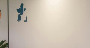 México – Parlamentarios avalaran la llamada “Ley Silla”