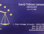 david-toboso-larrauri