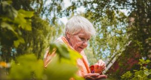 Colombia – Cobro de cuota alimentaria de pensionado fallecido Colombia – Cobro de cuota alimentaria de pensionado fallecido