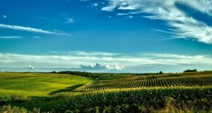 Colombia – Jurisprudencia: facultades del juez de restitución de tierras Colombia – Jurisprudencia facultades del juez de restitución de tierras
