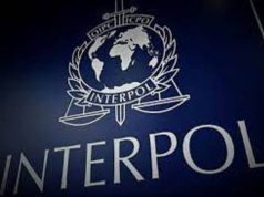 Interpol, un nombre que conocemos todos pero no conocemos a fondo su trabajo
