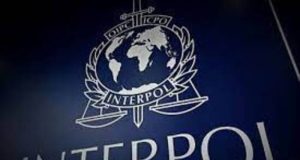 Interpol, un nombre que conocemos todos pero no conocemos a fondo su trabajo