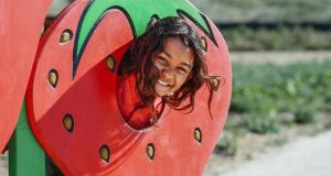 Chile – Dudas respecto al programa de Necesidades Alimentarias Especiales