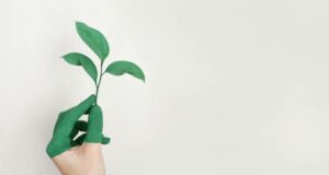 Chile – Fiscalización de la regulación ambiental
